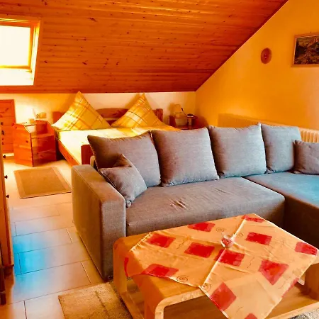 Haus Brengartner Apartment